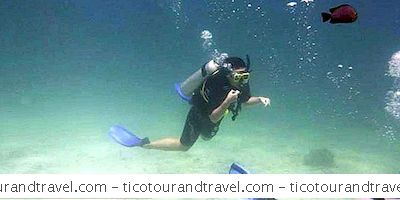 Studerer - Dykking I Thailand: Fra Scuba Shop Til Ocean Floor