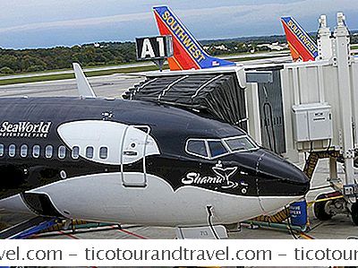 Transportul aerian - Southwest Airlines Călătorii Minore Neînsoțite