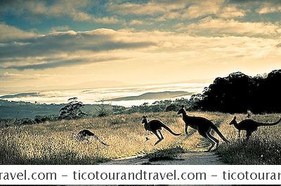 Austrália Nova Zelândia - Os 7 Melhores Livros De Viagens Australianos