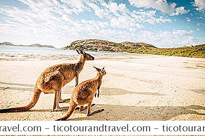 澳大利亚和新西兰 - 哪里可以找到澳大利亚的裸体海滩