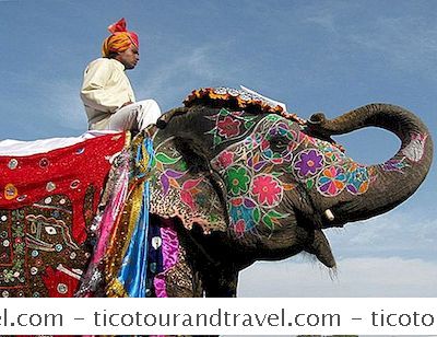 Indien - Jaipur Elephant Festival: Hvad Du Behøver At Vide