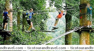 Kategorie Artikel: Tarzan: Dschungel-Trekking In Indonesien
