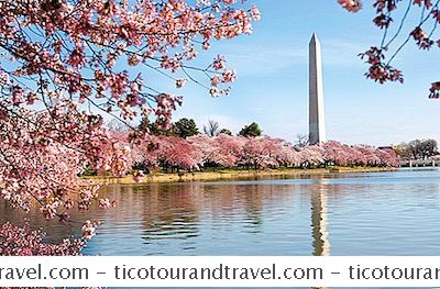 Kategorie Vereinigte Staaten: National Cherry Blossom Festival Fotos