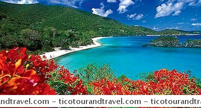 Caraibico - Valuta Caraibica Per I Viaggiatori