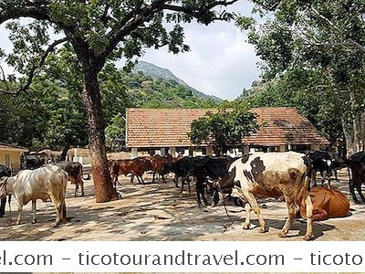 Índia - Top 11 Locais Turísticos Em Tamil Nadu