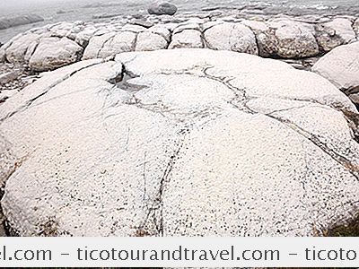 Luokka Kanada: Katso Ancient Thrombolites Of Flower'S Cove, Newfoundland
