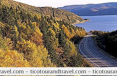 Tips Til Kørsel I Newfoundland, Canada