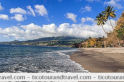 Karibský - Cestovní Průvodce Martinikem