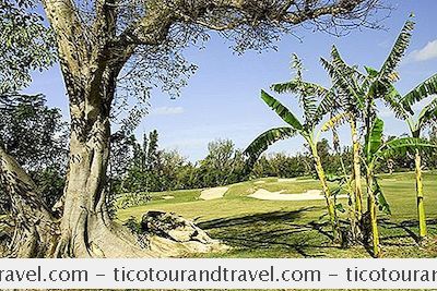 加勒比 - 巴哈马顶级高尔夫球场和度假村