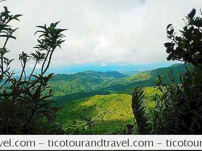 카리브해 - 엘 Yunque 국립 열대 우림 방문