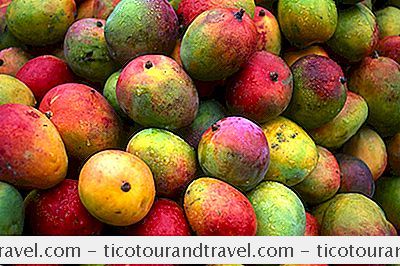 중남미 - 코스타리카의 열대 과일 가이드