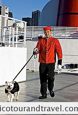 Cruises - Kan Ik Mijn Huisdier Meenemen Op Een Cruise?