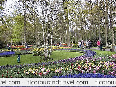 Cruise - Dutch Tulip Cruise Med Viking River Cruises