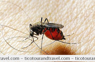 Tujuan - Cara Menghindari Gigitan Nyamuk