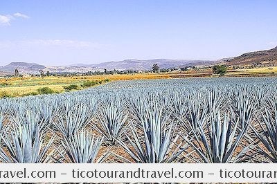 Destinací - Co Dělat V Mexické Zemi Tequila