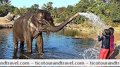 インド - インドで象と交際する4つの倫理的な場所
