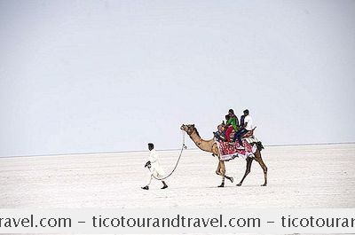 Hindistan - Kutch Essential Seyahat Rehberi Büyük Rann