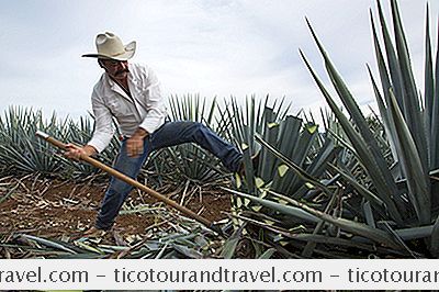 Meksika - Tekila, Mezcal Ve Pulque