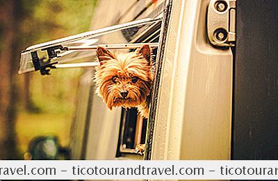 Viaggi in macchina - 7 Dei Migliori Parchi Per Cani Compatibili
