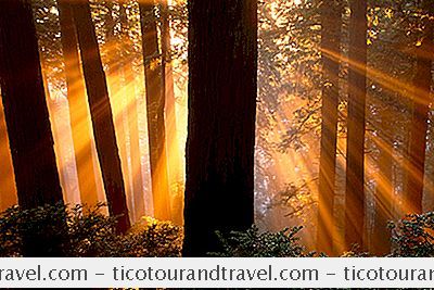 Kjøretur - Rv Destinasjonsguide: Redwood National Park