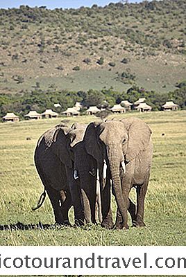 Tech En Gear - Oefen Je Fotografie Op Safari In Oost-Afrika