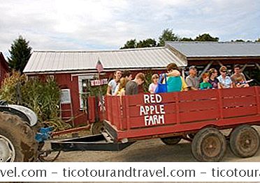 Categoria Stati Uniti: 10 Cose Divertenti Da Fare A Red Apple Farm In Massachusetts