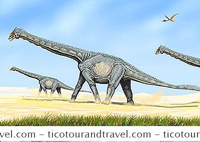 6 Dinosaurus Ditemukan Di New Mexico