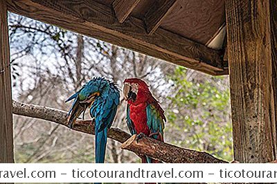 Central Florida Zoo And Botanical Gardens: Panduan Lengkap