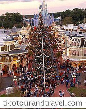 Catégorie États Unis: Disney Christmas - Photos De Disney World