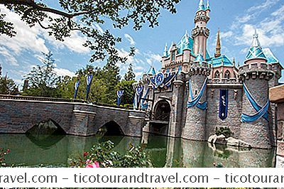 Disneyland-Bezoekersgids
