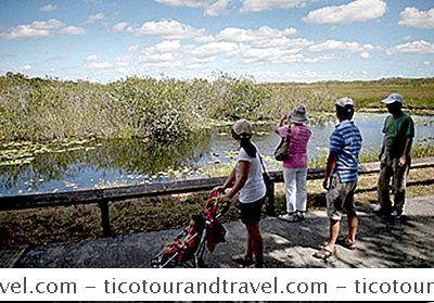 Kategori Forente Stater: Florida'S Everglades Nasjonalpark Med Barn