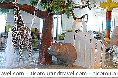 Kategori Förenta Staterna: The Great Serengeti Waterpark På Holiday Inn Owatonna