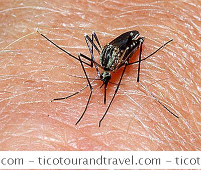 类别 美国: 蚊子在密歇根州