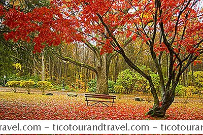 Thể LoạI Hoa Kỳ: New England Fall Foliage
