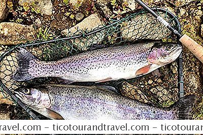 Kategori Forenede Stater: Rainbow Trout Fishing In Texas