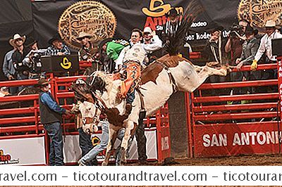 Kategori Amerika Birleşik Devletleri: San Antonio Rodeo: Komple Kılavuz