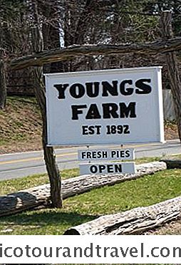 Kategori Forenede Stater: Youngs Farm I Old Brookville, Ny